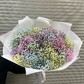 Гипсофилы Радужные 25 шт