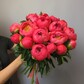 Пионы коралловые 19