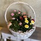 Розы Горкунов в плетённой корзине