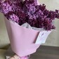 Сирень сортовая