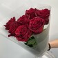 Красная Роза Эквадор