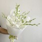 Букет «Сад бабочек» из 9 белых орхидей