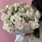 Нежно-розовая эустома
