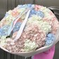 Гортензии 27 шт
