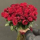 51 Красная роза Эквадор
