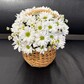 Лукошко с ромашками