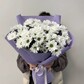 Букет живых цветов из 7 белых хризантем | арт: 3098-1