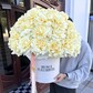 Пионовидные французские розы в шляпной коробке 51 шт, премиум букет