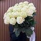25 эквадорских роз