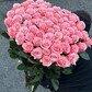 Букет из 75 элитных роз BeSweet