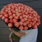 Букет из 151 розы Kahala