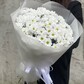 КУСТОВАЯ РОМАШКОВИДНАЯ ХРИЗАНТЕМА БЕЛАЯ