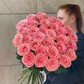 31 СОФИ ЛОРЕН