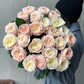 25 ПИОНОВИДНЫХ РОЗ
