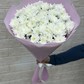 Хризантема кустовая