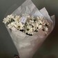 Хризантема кустовая Ромашка