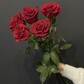 Красные розы