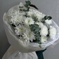 Снежные хризантемы