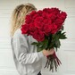 Розы красные эквадор 25 шт