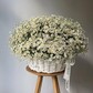 Корзина с ромашками 55