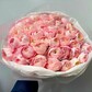 49 ранункулюсов