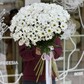 Букет из 11 кустовых хризантем Ромашка