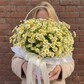 Небольшая корзиночка с ромашкой🌼