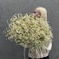 Букет кустовых ромашек