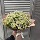 Ромашки