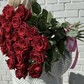 25 Роз Эксплорер