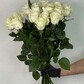 21 Роза Мондиаль
