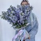29 дельфиниумов