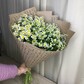 15 кустовых ромашек