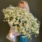 25 кустовых ромашек