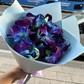 Букет Орхидея космическая