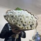 15 шт белые кустовые хризантемы